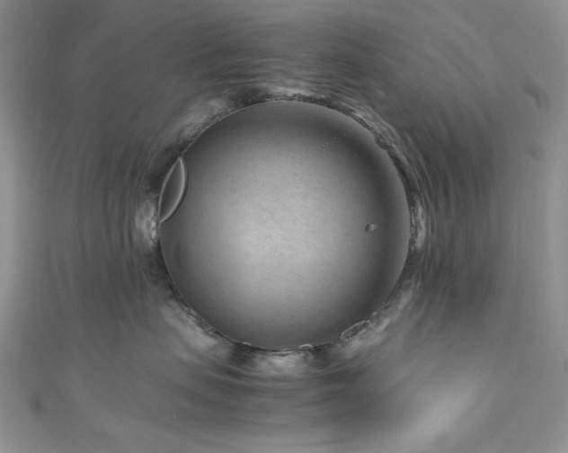 X0000111190479200907011416