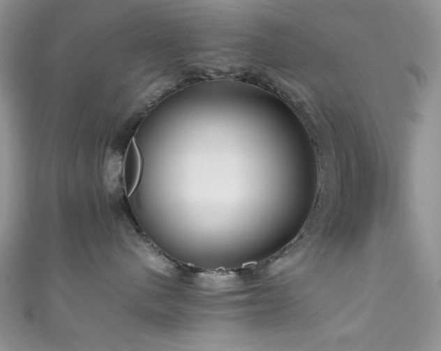 X0000111190480200907011416