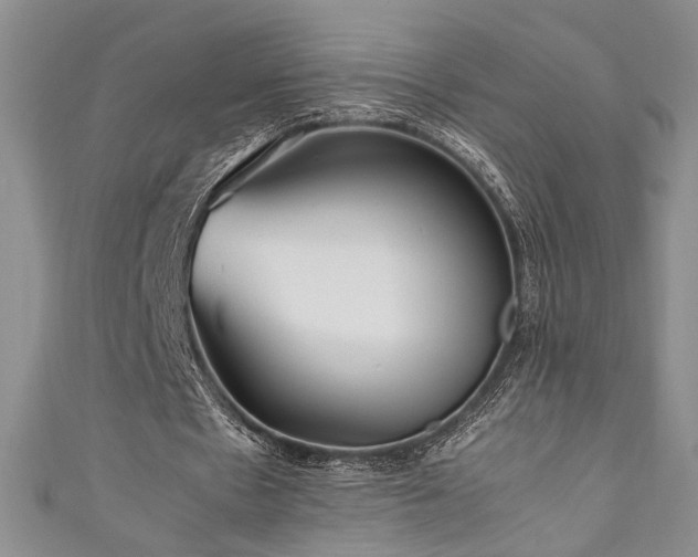 X0000111190481200907011415