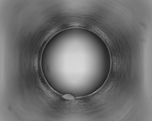 X0000111190482200907011415