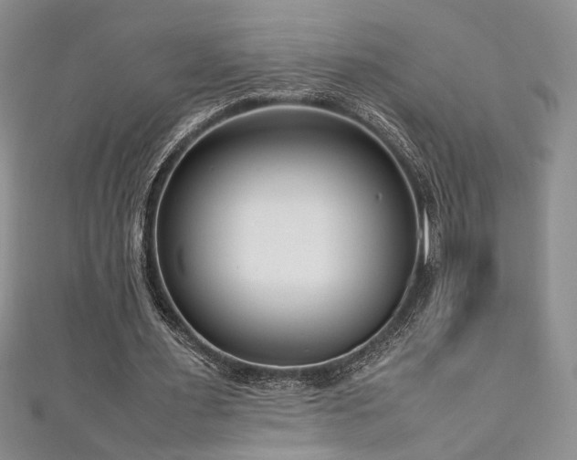 X0000111190483200907011415