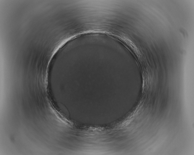 X0000111190484200907011415