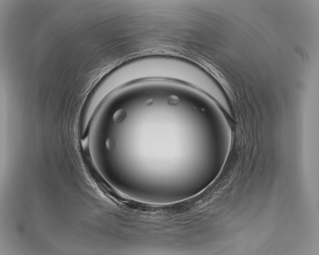 X0000111190485200907011415