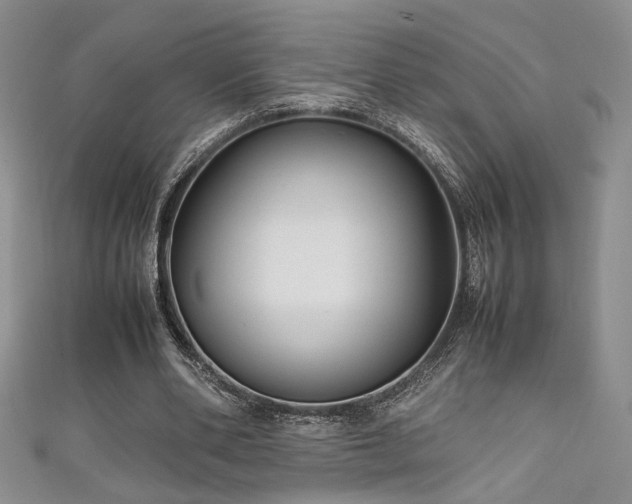 X0000111190486200907011415