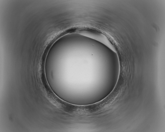 X0000111190487200907011415