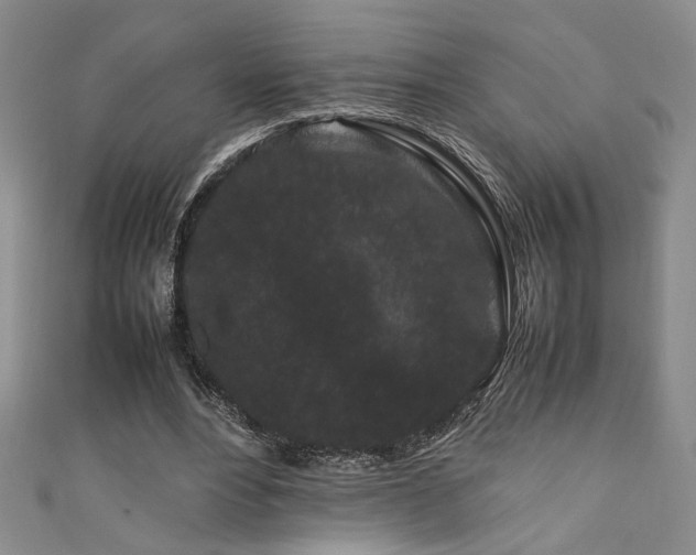 X0000111190488200907011415