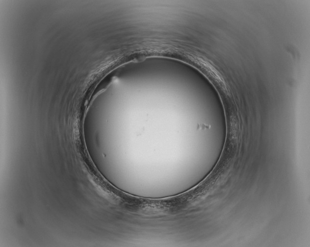 X0000111190489200907011415