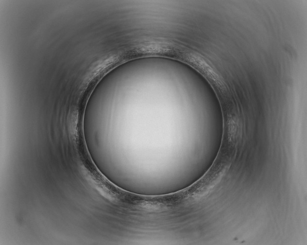 X0000111190490200907011415