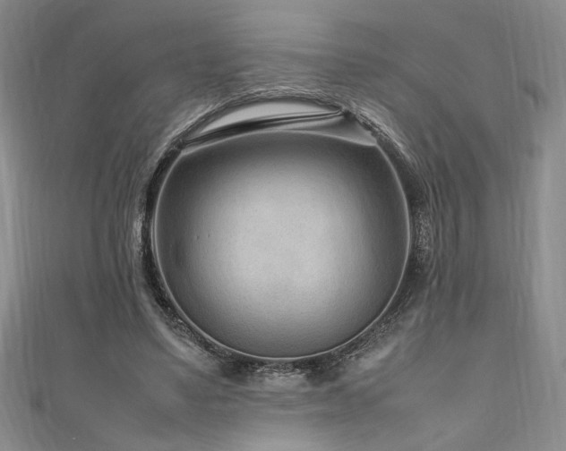 X0000111190491200907011415