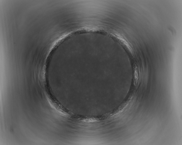 X0000111190492200907011415