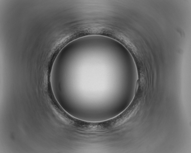 X0000111190493200907011415