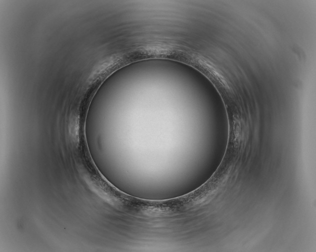 X0000111190494200907011415