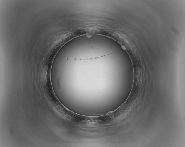 X0000111190495200907011415