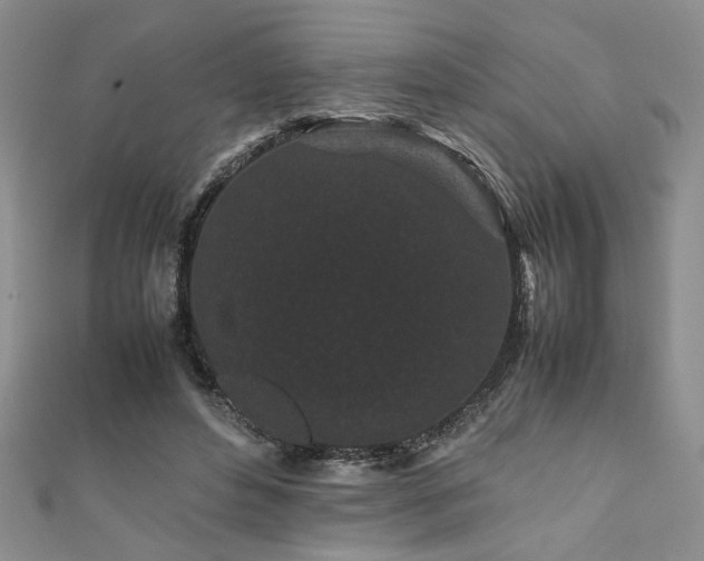 X0000111190496200907011415