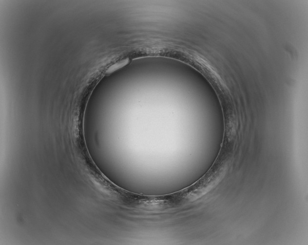 X0000111190497200907011415