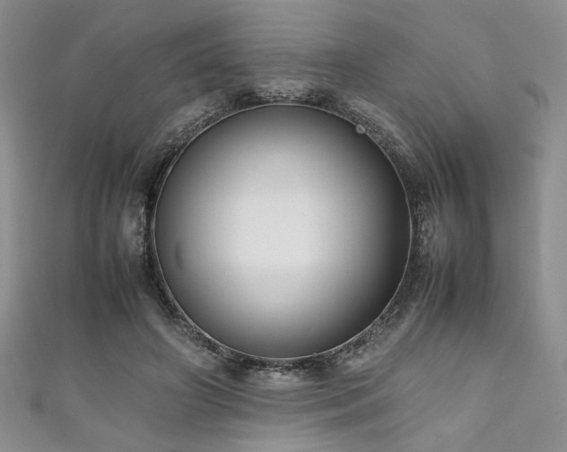 X0000111190498200907011415