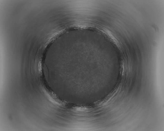 X0000111190500200907011414