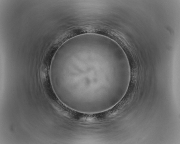 X0000111190503200907011414