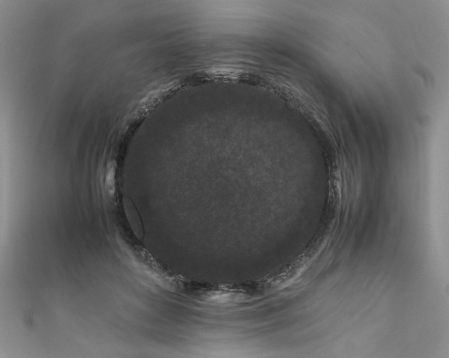 X0000111190504200907011414