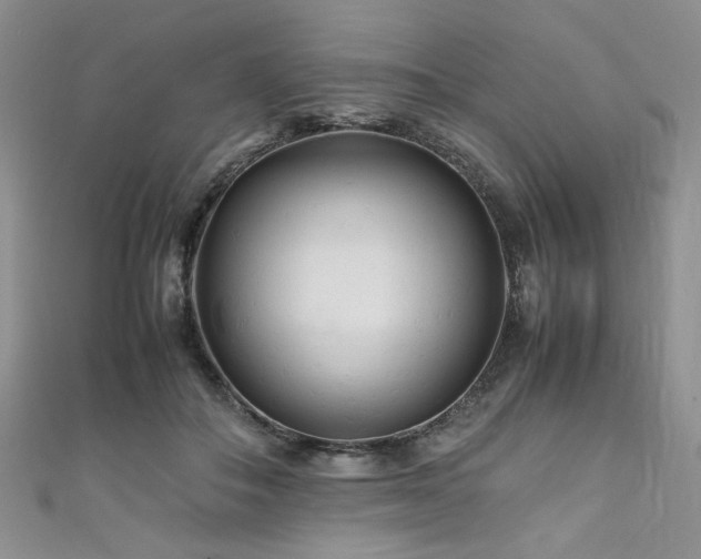 X0000111190506200907011414