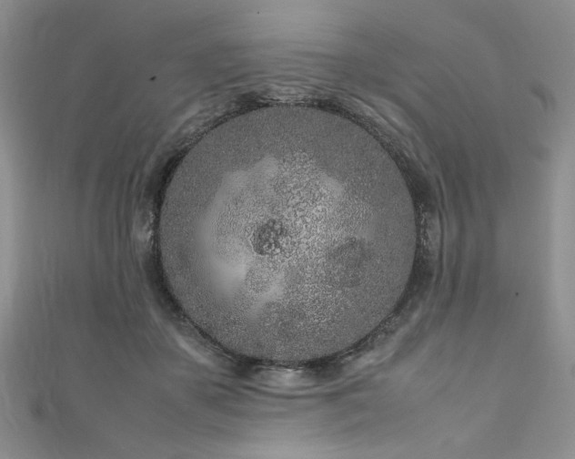 X0000111190507200907011414