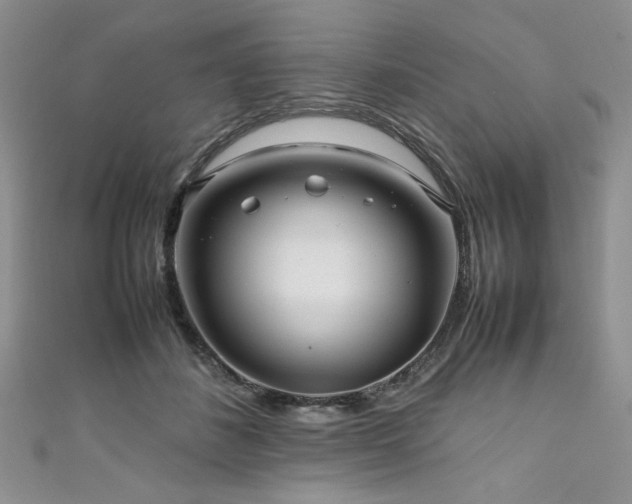 X0000111190508200907011414