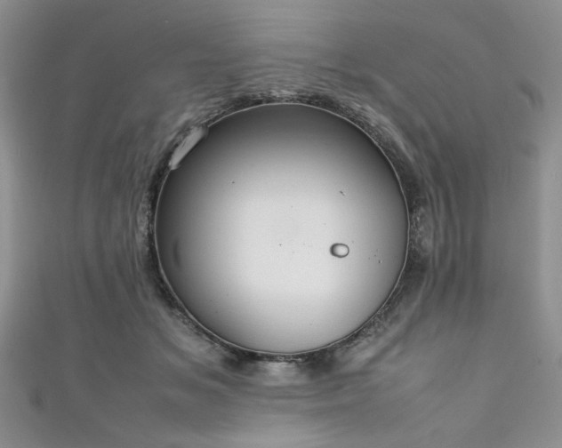 X0000111190509200907011414