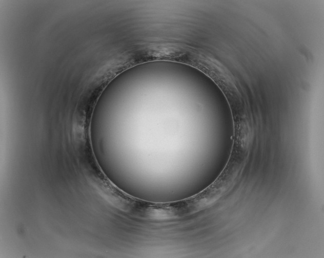 X0000111190510200907011414