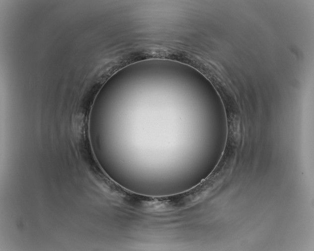 X0000111190511200907011414