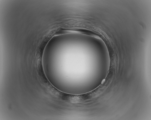 X0000111190513200907011414