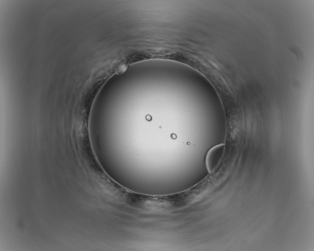 X0000111190515200907011414