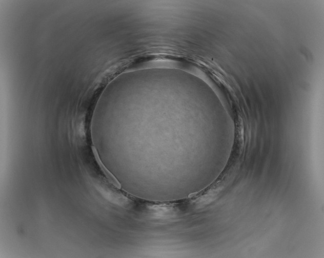 X0000111190516200907011414