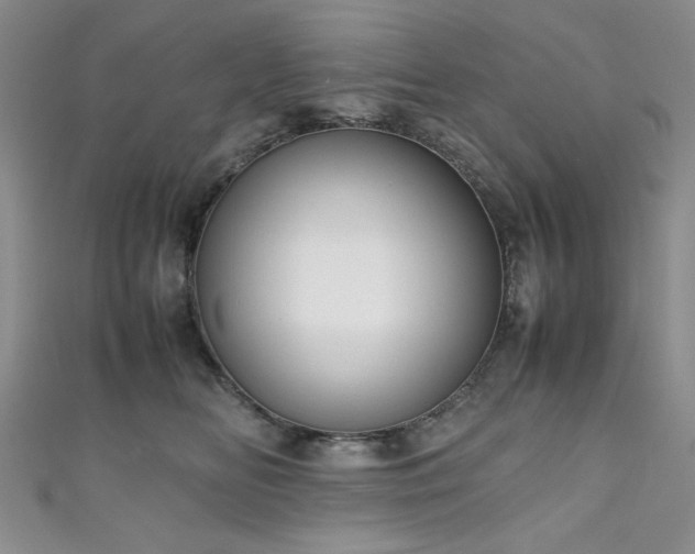 X0000111190518200907011414