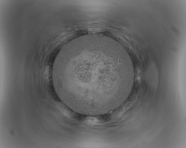 X0000111190519200907011414