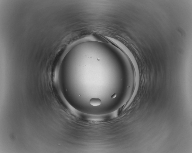 X0000111190520200907011414