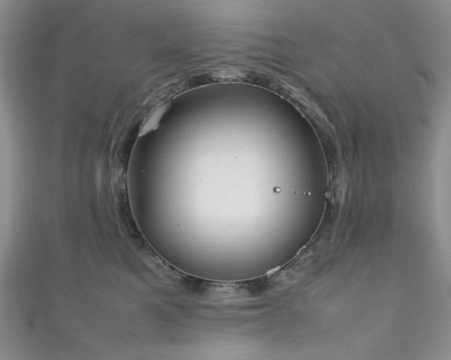 X0000111190521200907011414