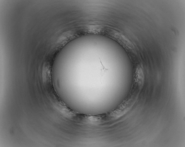 X0000111190522200907011414