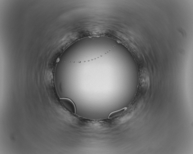 X0000111190523200907011414