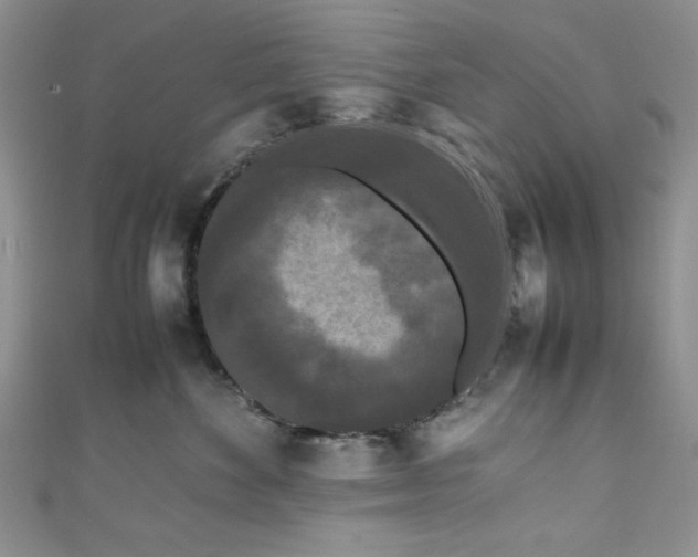 X0000111190524200907011414