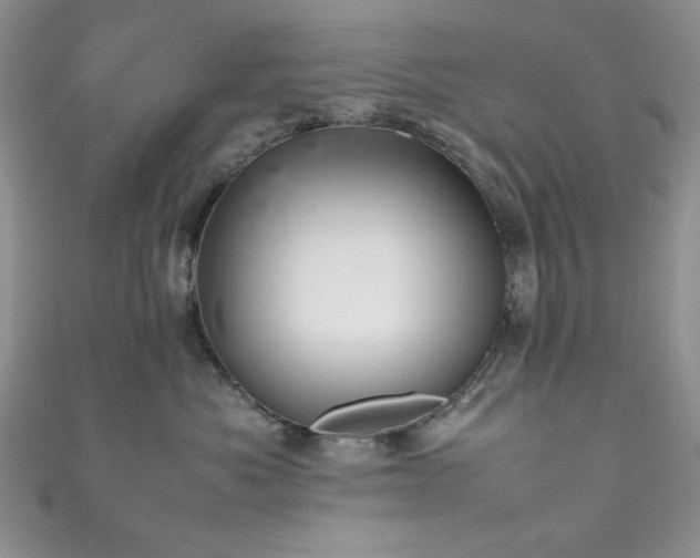 X0000111190525200907011414