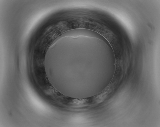 X0000111190526200907011414