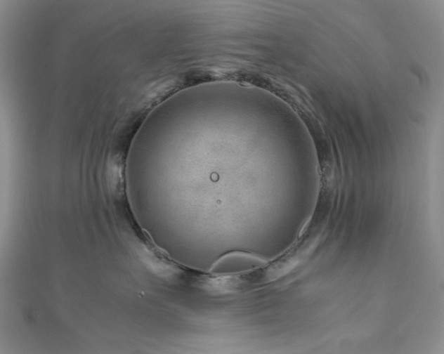 X0000111190527200907011414