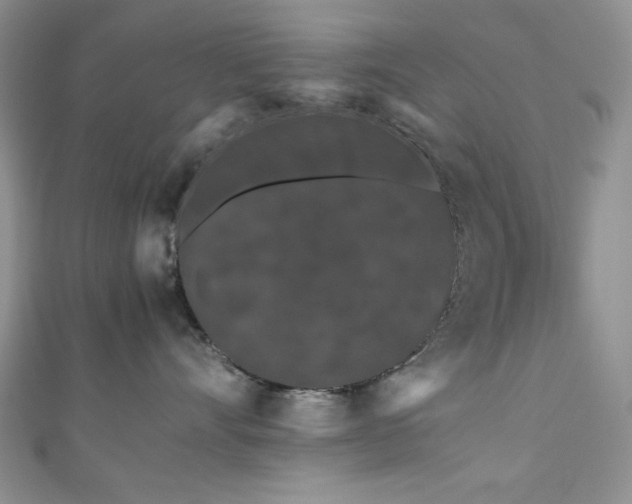 X0000111190528200907011414