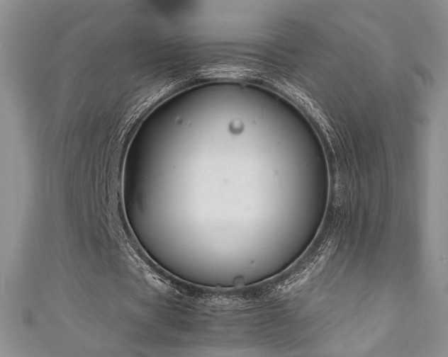 X0000111190529200907011414