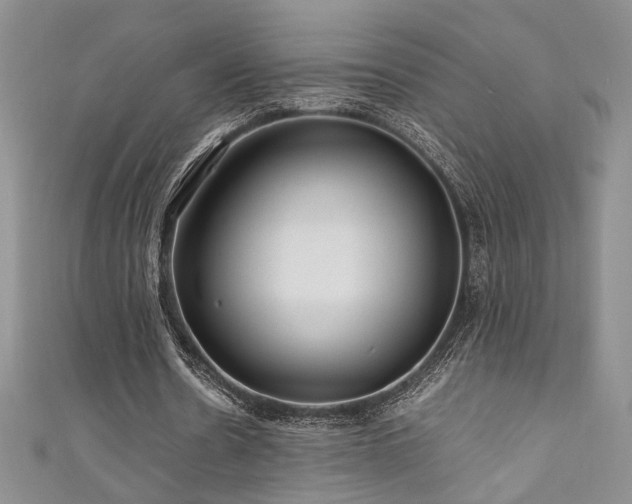 X0000111190530200907011414