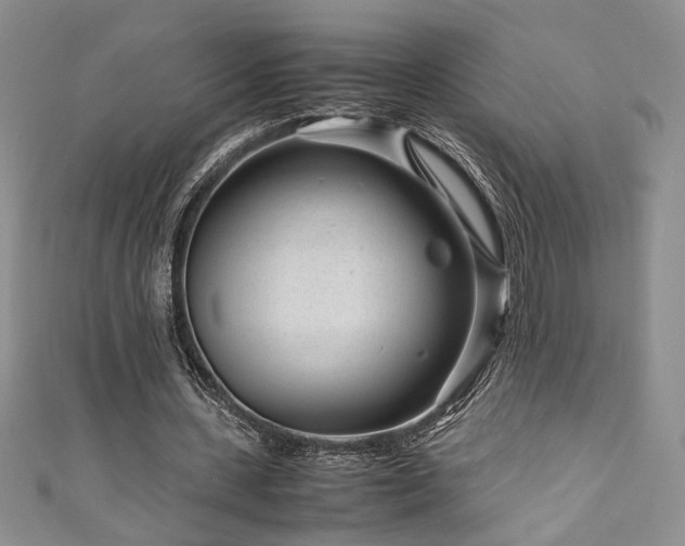 X0000111190531200907011414