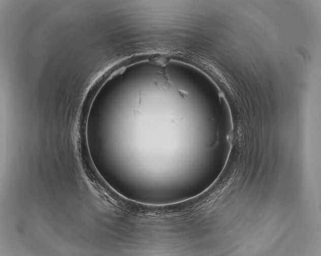 X0000111190532200907011414