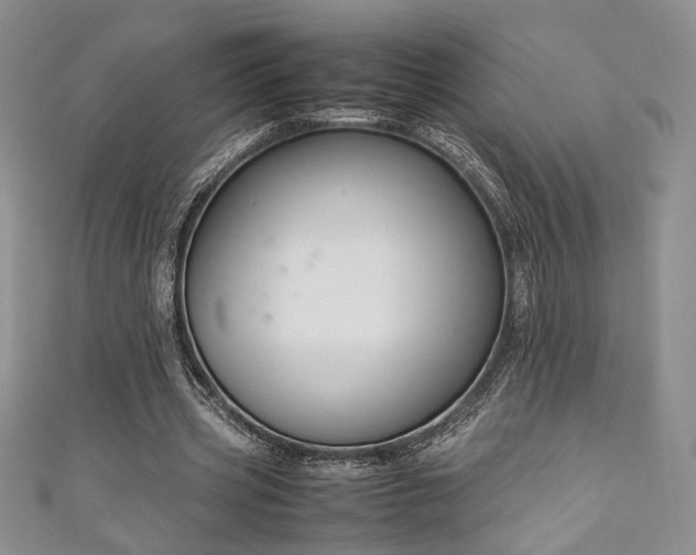 X0000111190533200907011414