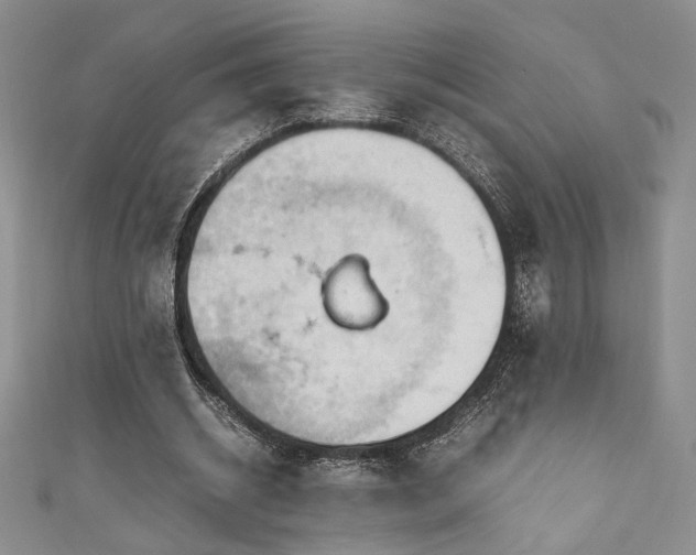 X0000111190534200907011414