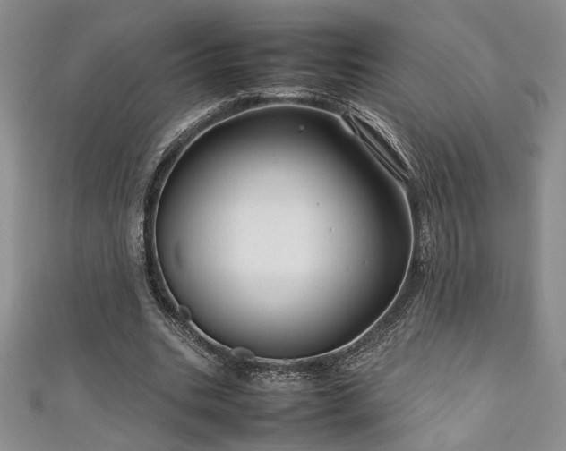 X0000111190535200907011414